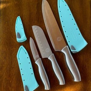 Stainless Steel Knife Set with Teal Sheaths